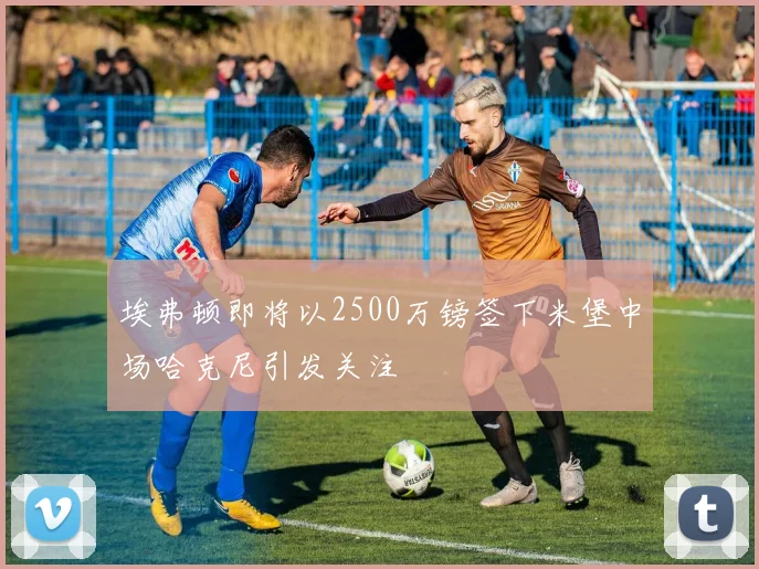 埃弗顿即将以2500万镑签下米堡中场哈克尼引发关注