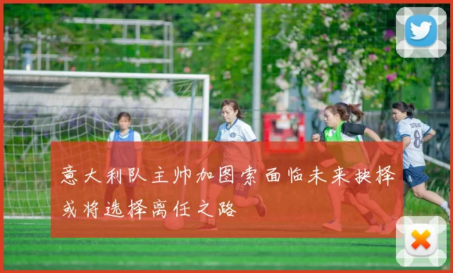 意大利队主帅加图索面临未来抉择或将选择离任之路